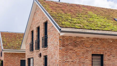 Dachbegrünung mit TOPGREEN Gründachpfanne GDP 45