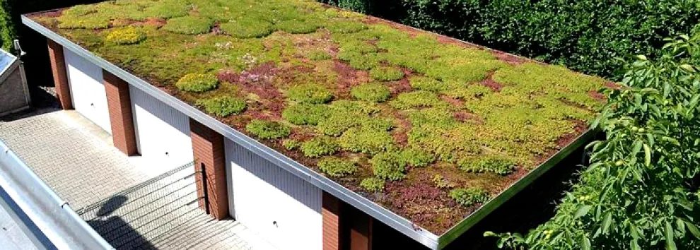 TOPGREEN Extensivbegrünung