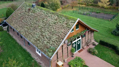 Dachbegrünung mit TOPGREEN Gründachpfanne GDP 45