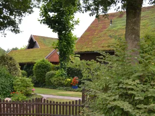 Dachbegrünung mit TOPGREEN Gründachpfanne GDP 45