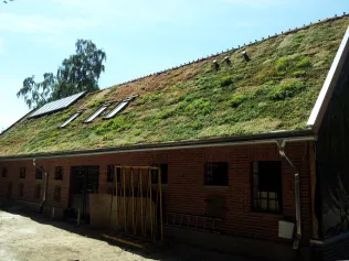 Dachbegrünung mit TOPGREEN Gründachpfanne GDP 45