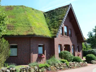 Einfamilienhaus im Wohngebiet Lohne mit TOPGREEN Gründachpfanne GDP 45