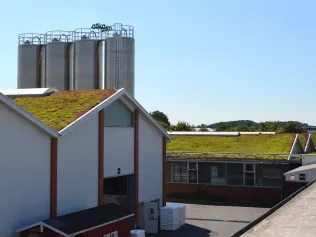 Dachbegrünung mit TOPGREEN Gründachpfanne GDP 30