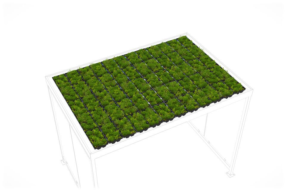 Überdachungssystem Dachbegrünung GreenPlus