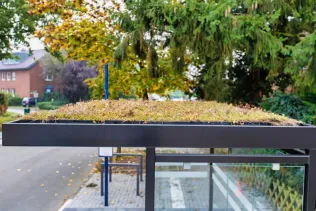 GreenPlus – modulare, nachhaltige Dachbegrünung