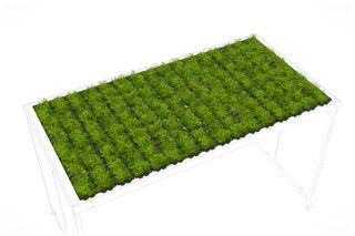 Dachbegrünung GreenPlus Premium für Köln K4