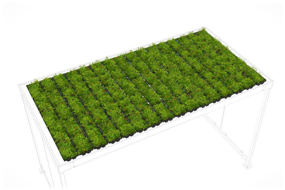 Überdachungssystem Dachbegrünung GreenPlus