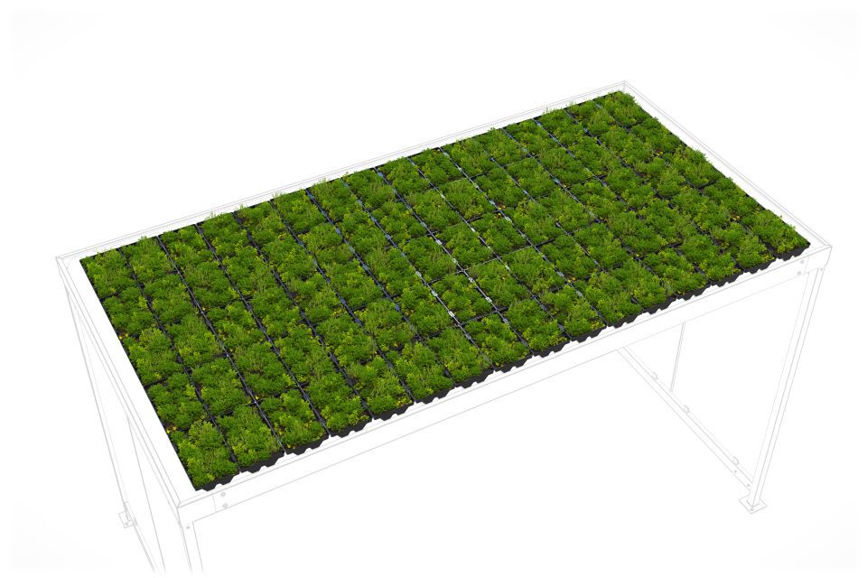 Überdachungssystem Dachbegrünung GreenPlus