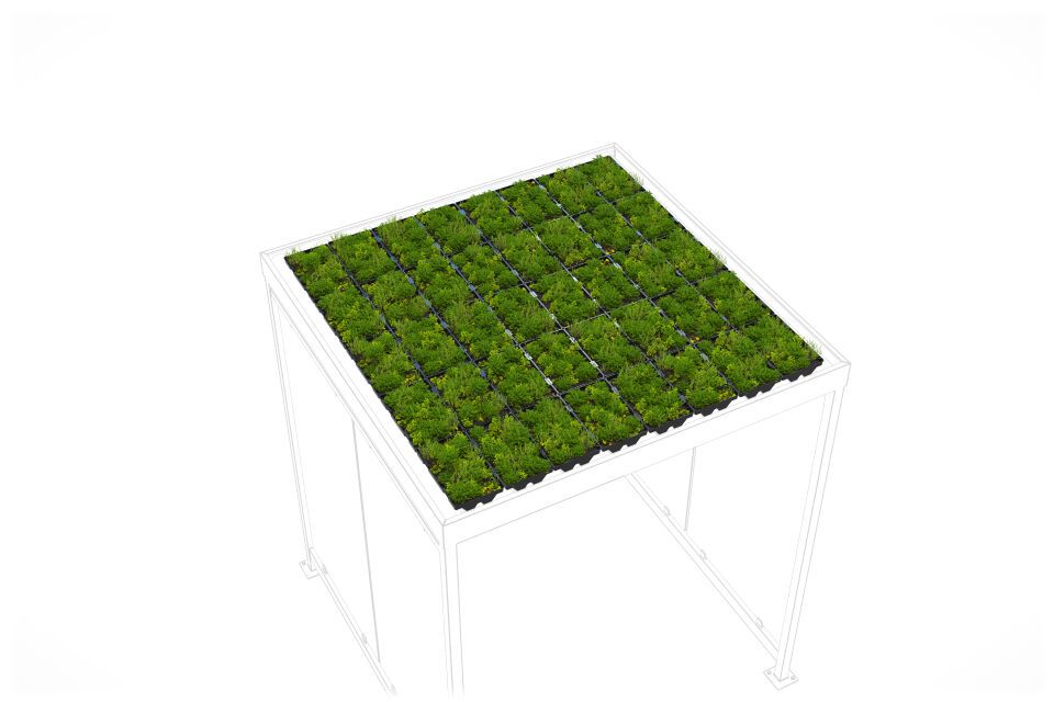 Überdachungssystem Dachbegrünung GreenPlus