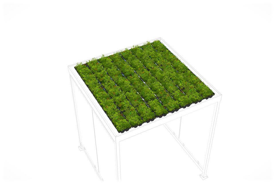 Überdachungssystem Dachbegrünung GreenPlus