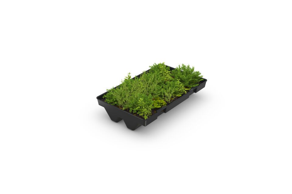 Überdachungssystem Dachbegrünung GreenPlus