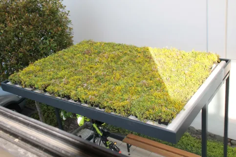 Die Dachbegrünung GreenPlus filtert Feinstaubfilterung und speichert Regenwasser.