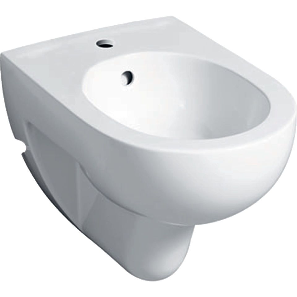 GE Renova Wandbidet