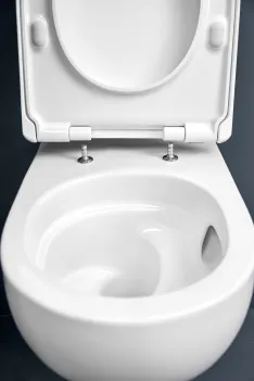 Rückwärtskompatibel: neue WC-Sitze bei Renova