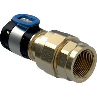 GE FlowFit Übergangsverschraubung mit IG SiBr d16-R1/2