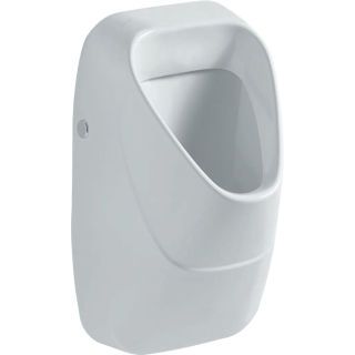 GE Alivio Urinal