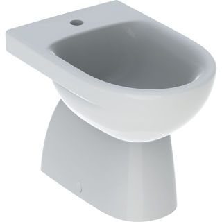 GE Renova Standbidet
