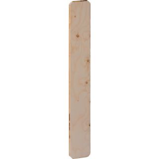 GE GIS Montageplatte universell 16 x 110 cm