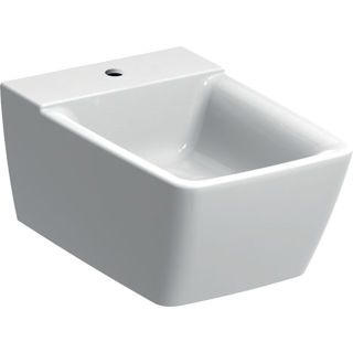 GE Xeno2 Wandbidet