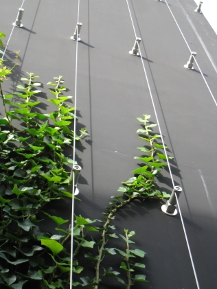 GREENCABLE Begrünungssysteme