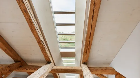 Lamellendachfenster s: 203
