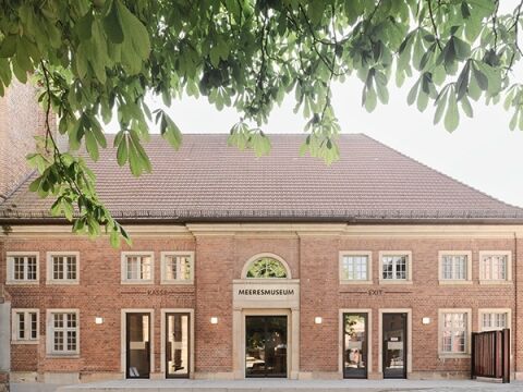 Eintauchen in die faszinierende Unterwasserwelt