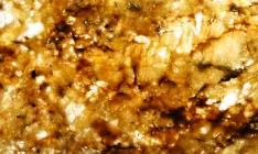 Golden Persa