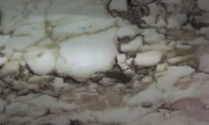 Arabescato