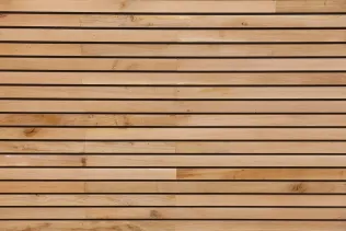 Holz-Fassade