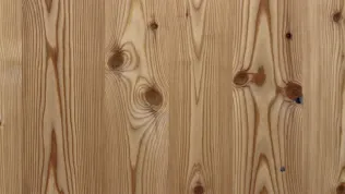 Lärche astig längs