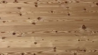 Lärche astig quer