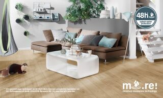 M.O.R.E Atlantic 8 1288 195