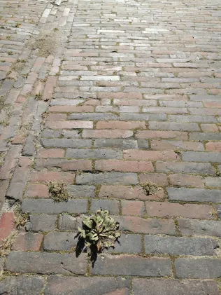 ReUse Ziegel - "Niedersachsen"