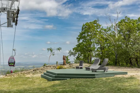 Terrassendiele DELTA in Lorbeer, in Thale am Hexentanzplatz (Harz)