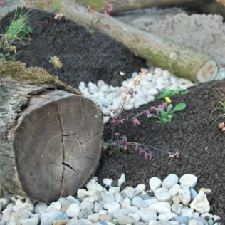 Biodiversitätspaket für Dachbegrünungen