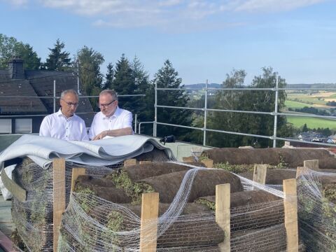 Starkregen? Kein Problem mit dem Schwammdach nach dem Purple-Roof-Konzept!