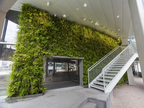 SemperGreenwall Indoor