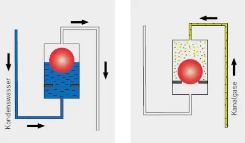 Kanalgas-STOPP: Siphon links mit Sperrwasser, rechts ausgetrocknet