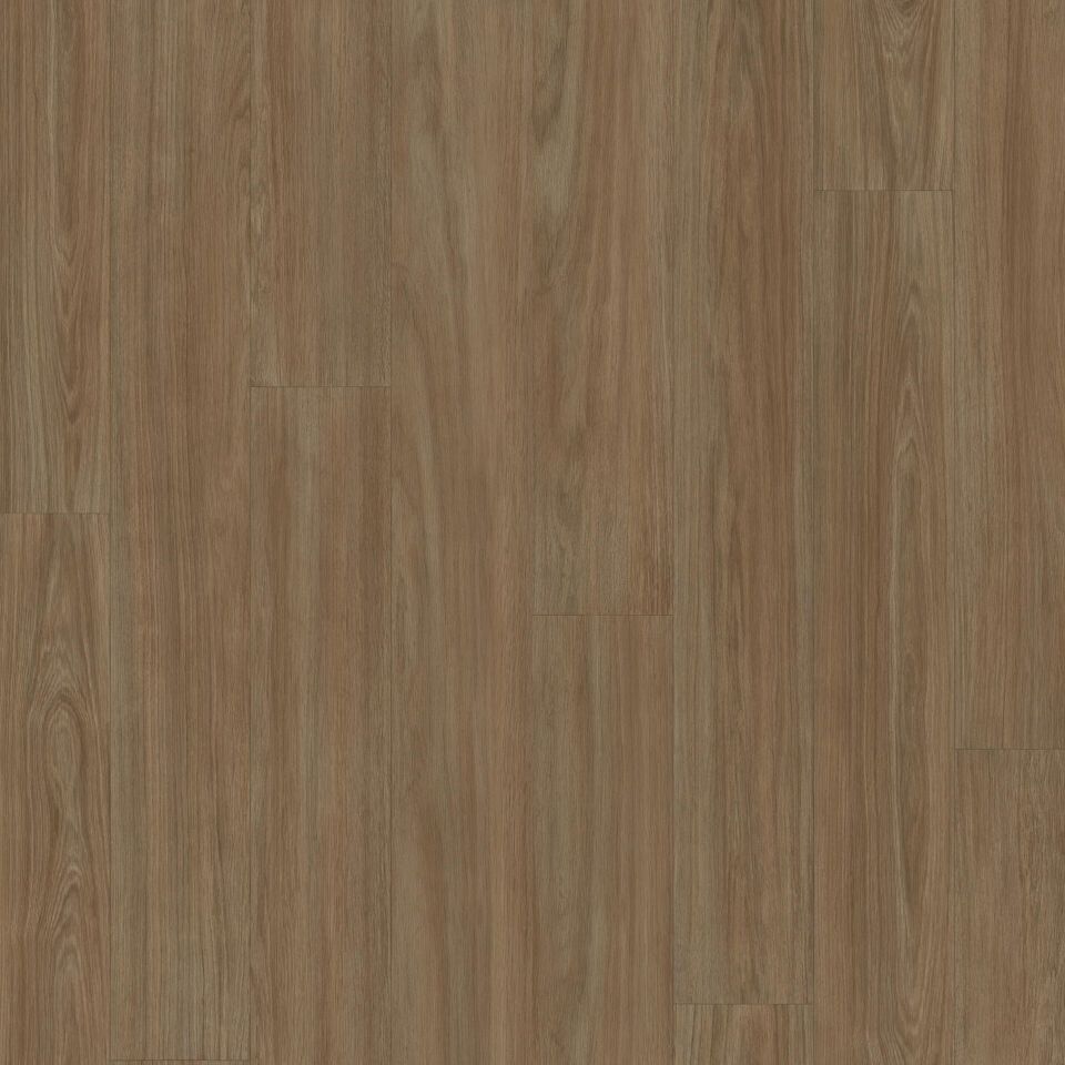 Tarkett Acczent Excellence Compact+