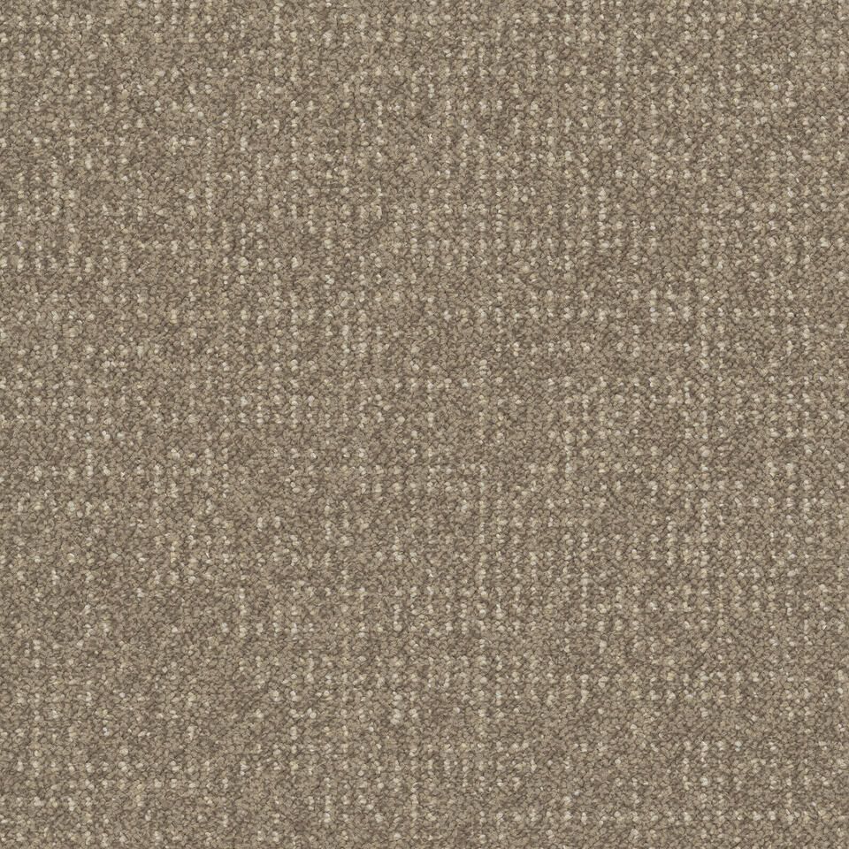 Desso Enlaced AD43 9096-V B8 50x50