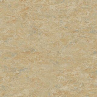 Veneto CAMEL 616