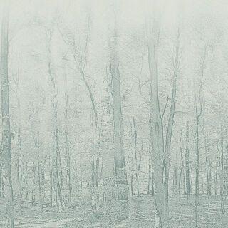 Forestic AQUA GREEN