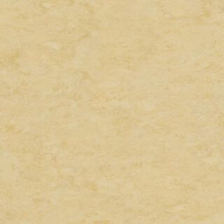 Veneto EGGSHELL 619
