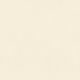 Concrete BEIGE