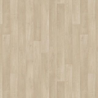 Holm Oak CLASSIC