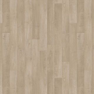 Holm Oak CHESTNUT