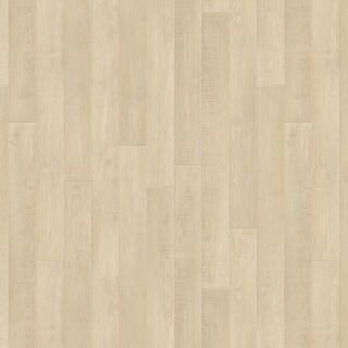 Holm Oak BLONDE