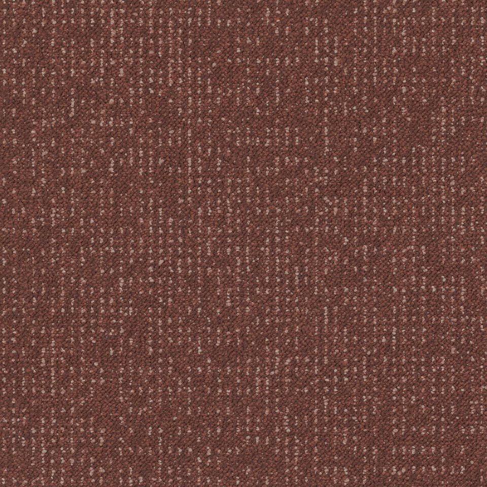 Desso Enlaced AD43 4311 B8 50x50