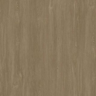 Oak Tree WARM BROWN