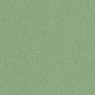 Eclipse GREEN 0771